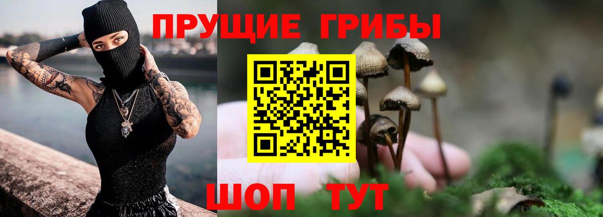 Галлюциногенные грибы Magic Shrooms  Вход с VPN  купить наркотики цена  Сарапул 